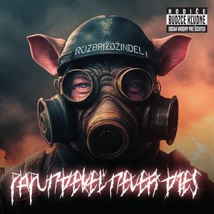 Dzive švine, zabijačka, krev štrika