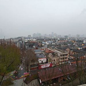 月光洒落梦境中