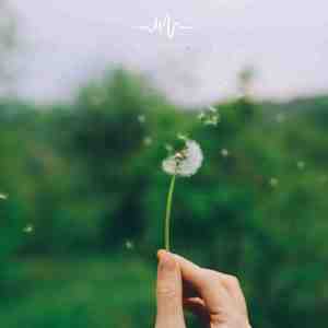 思念在远方-吉他 (缓解焦虑)