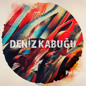 Deniz Kabuğu