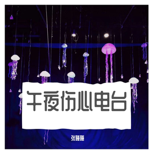 午夜伤心电台