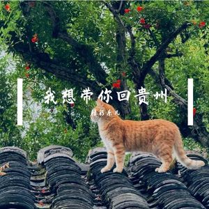 我想带你回贵州