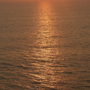 올해가 가기 전에