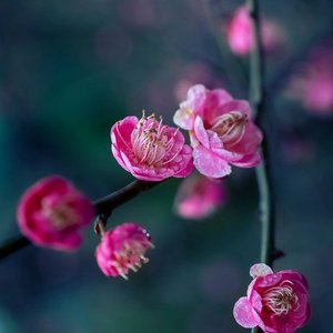 毛波 酒吧慢摇 欢快 舞曲 快餐小串 yb0514remix （串烧）（翻自 yb0514）