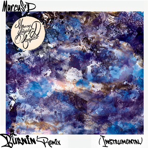 Burnin (Remix Instrumental)