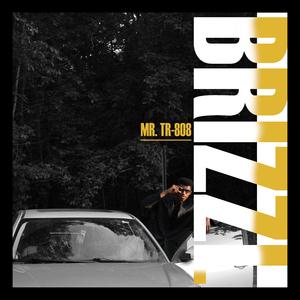 Brizzl (Spell It Out)