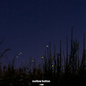 가끔 네가 그리워질 때가 있어