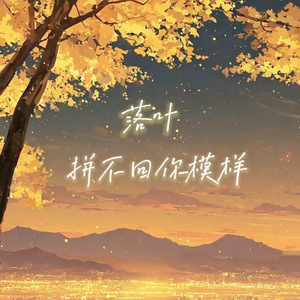 落叶拼不回你模样