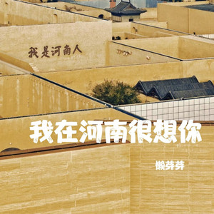 我在河南很想你
