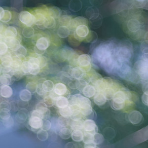 【正冈小豆/小林抹茶】海の幽霊（人声版）【VOCALOID COVER】