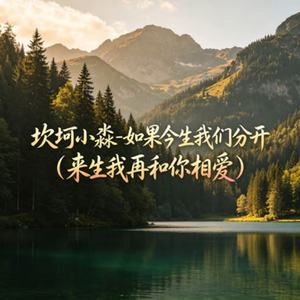 如果今生我们分开（来生我再和你相爱）