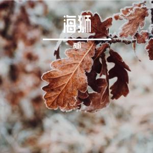 筷子兄弟-老男孩（海豹 remix）