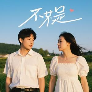 如果不是你 (风无念 Remix)