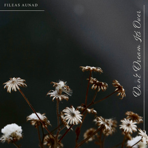 Don't Dream It's Over