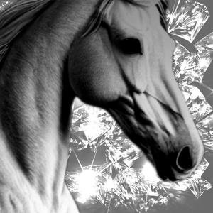 Horses In The Barn (feat. horses_horses_horses & The White House Oval Office)