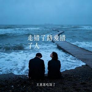 走错了路爱错了人