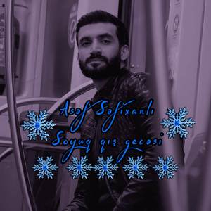 Soyuq qış gecesi