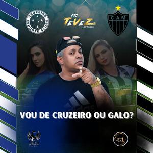 Vou de Cruzeiro ou Galo
