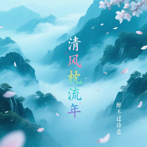 清风枕流年