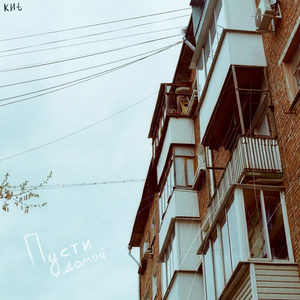 Пусти домой