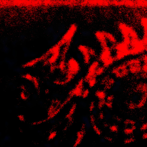 Disappear