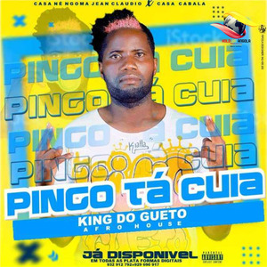 Pingo Tá Cuia
