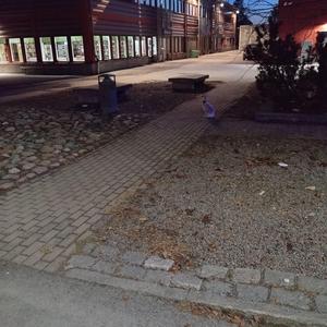 Återställare