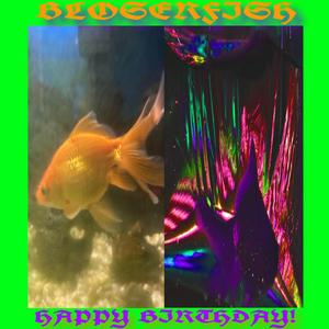 BLOSERFISH (HAPPY BIRTHDAY!)