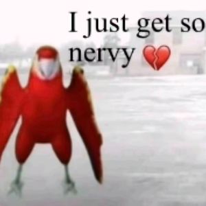 NERVY FUNK