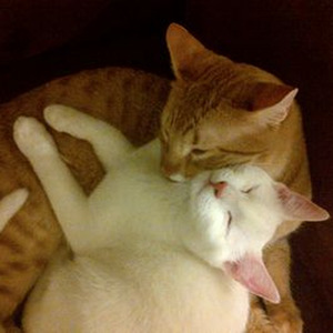 Desbloqueado (slowed)