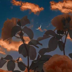 3月22日 下午9点08分