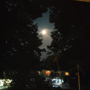 不许你注定一人live（中秋你注定一人）