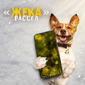 в лесу родились dogs