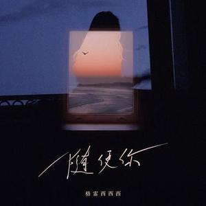 随便你 (DJ林清和版)0.9x版