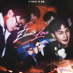 電梯愛情