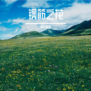 钢筋之花
