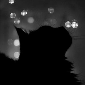 最近（翻自 王小帅）