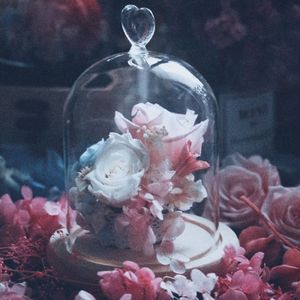 花不是“花”(Prod.Gr33nartBeats)