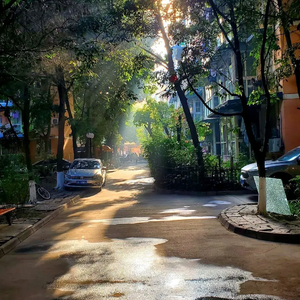 你其实也知道我向来很会装的