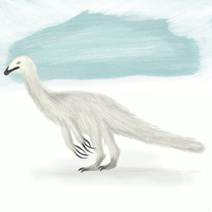 Echoes of the Avians