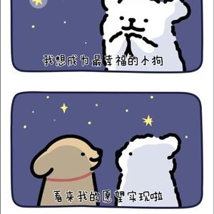 与你相遇的那天