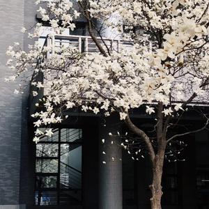 就是南方凯-离别开出花（热搜DJ版）（海予浪 remix）