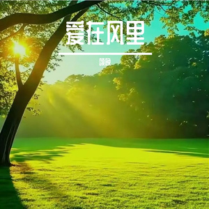 爱在风里