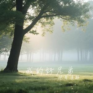 我的好兄弟 (Cover 高进 & 小沈阳)