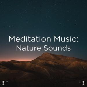 수면을위한 바다의 소리