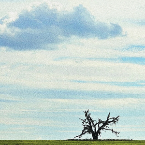 I See It Coming Back to Me, Performances That I No Longer Desire.