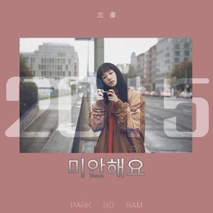 미안해요（对不起）（翻自 朴宝蓝）