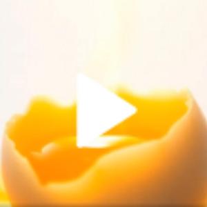 De Denker Dacht Te Veel — Je hoofd is een Carnaval van Twijfel