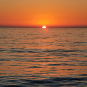 Plasha (Instrumental)