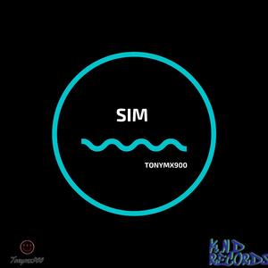 SIM